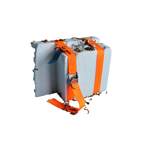 STUDIO MARC: BOETEBURGER Mealworms eat packaging material such as polystyrene (polystyrene). And can then be ground into food to be served to hungry consumers. Studio Marc came up with the idea for this cycle from trash to treat. Eat your own waste …