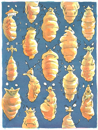 Collective Nouns
