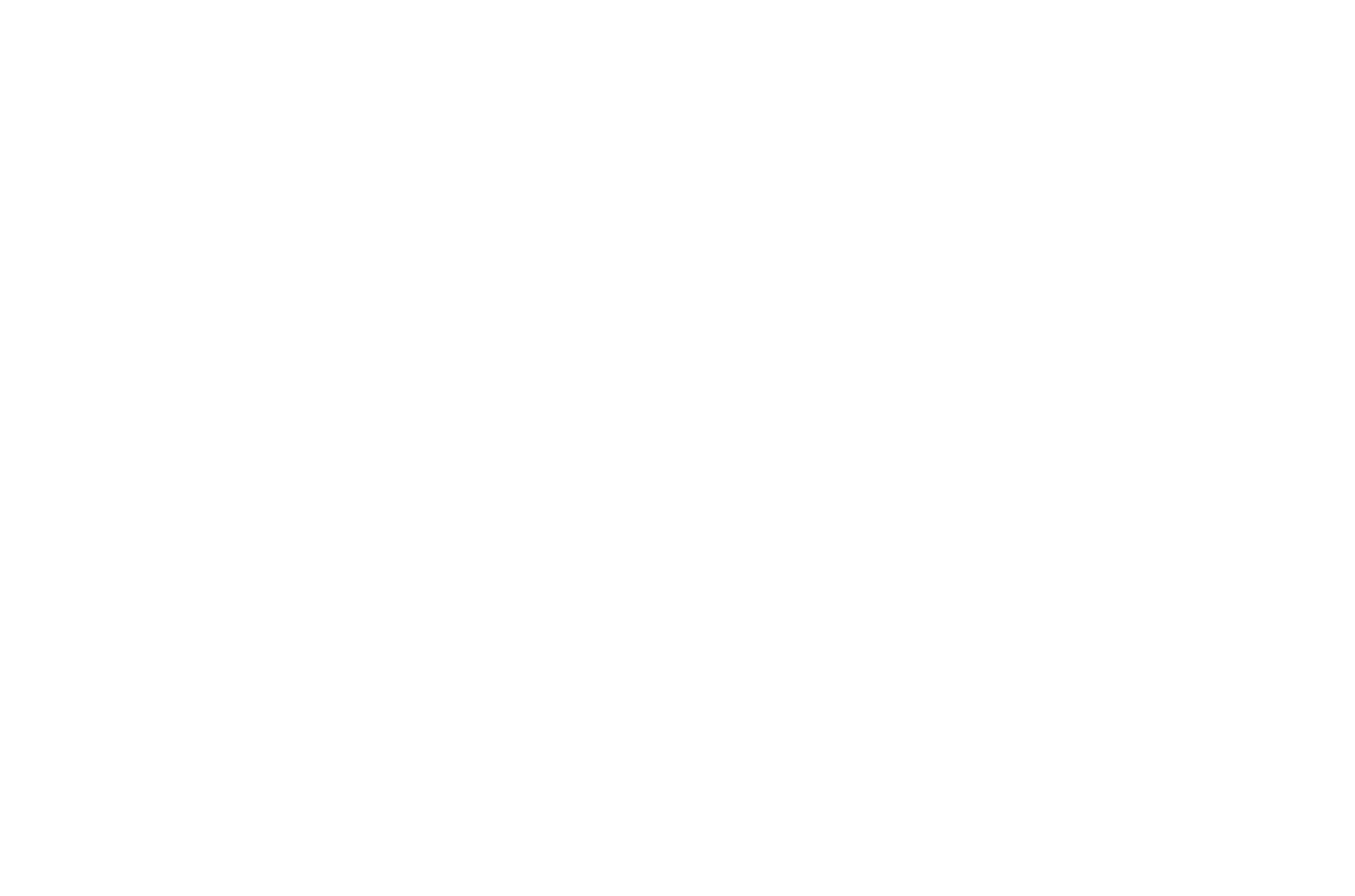 Carve Premium Ontario Beef