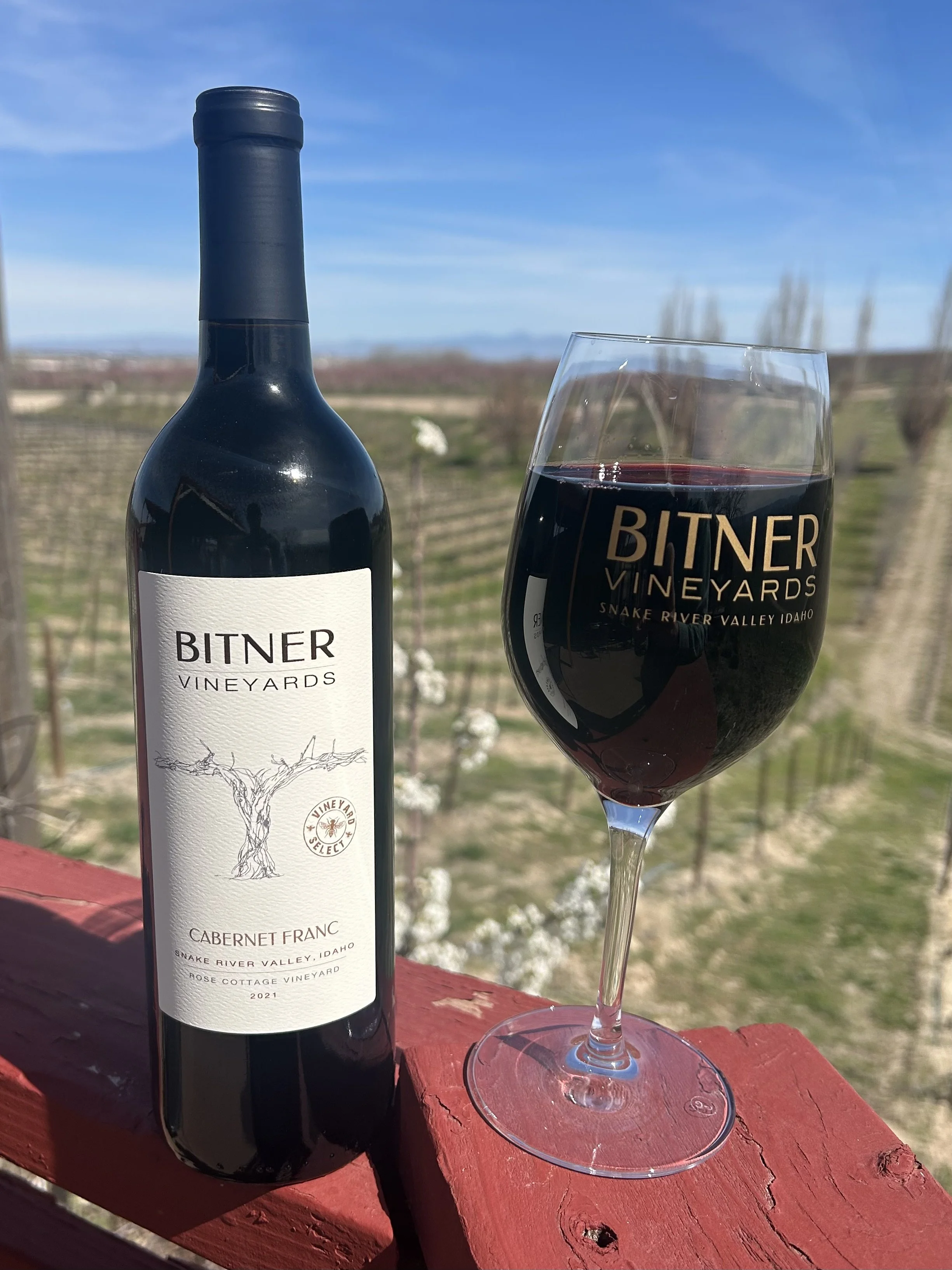 Cabernet Franc 2021 - Wine Release