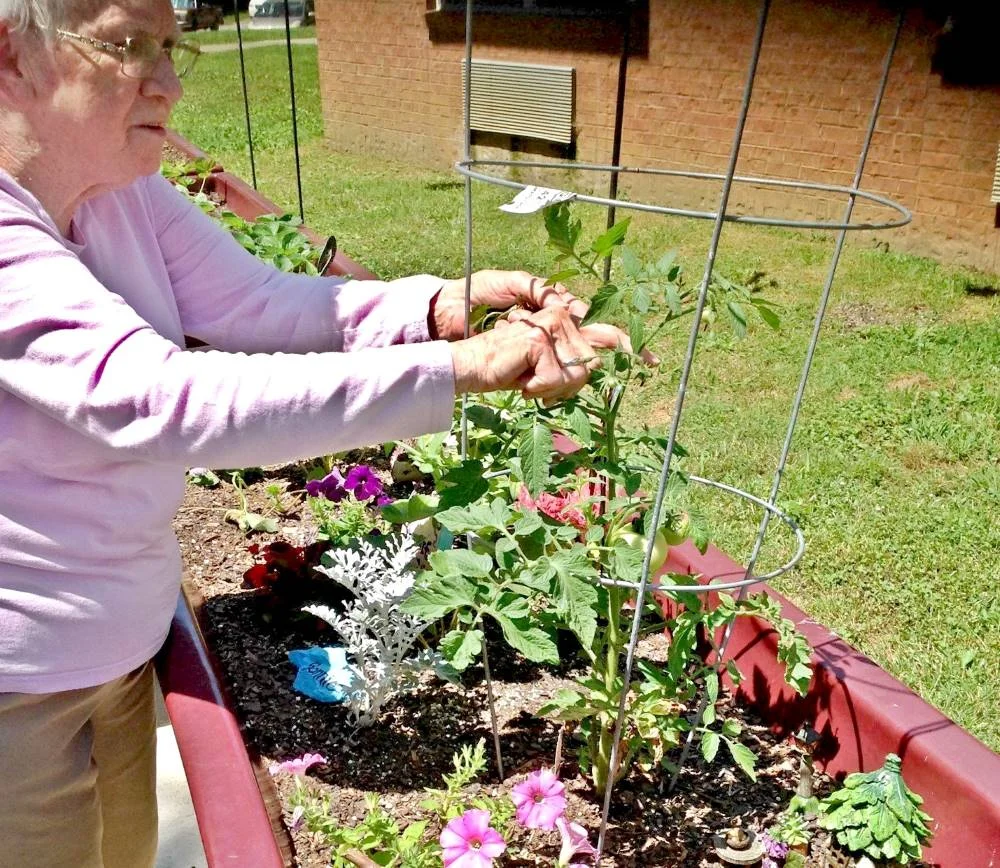 Therapeutic-Gardening.jpg