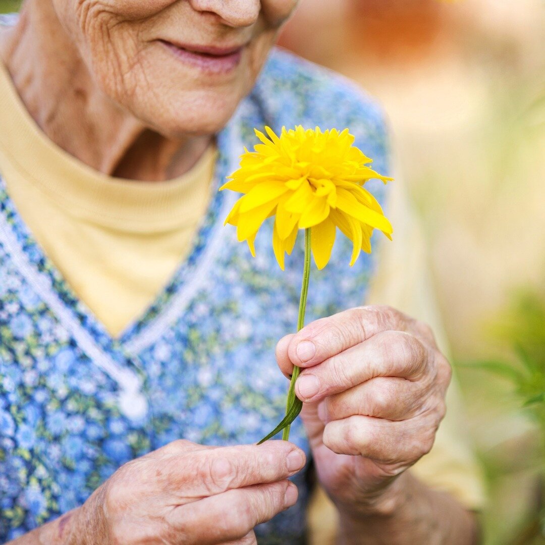 The simple things in life often mean the most. Visit our website and give the gift of gardening today. 

#olderadults #gardening #therapeuticgarden #growing #gardenmore #makeadifference #thesmallthings