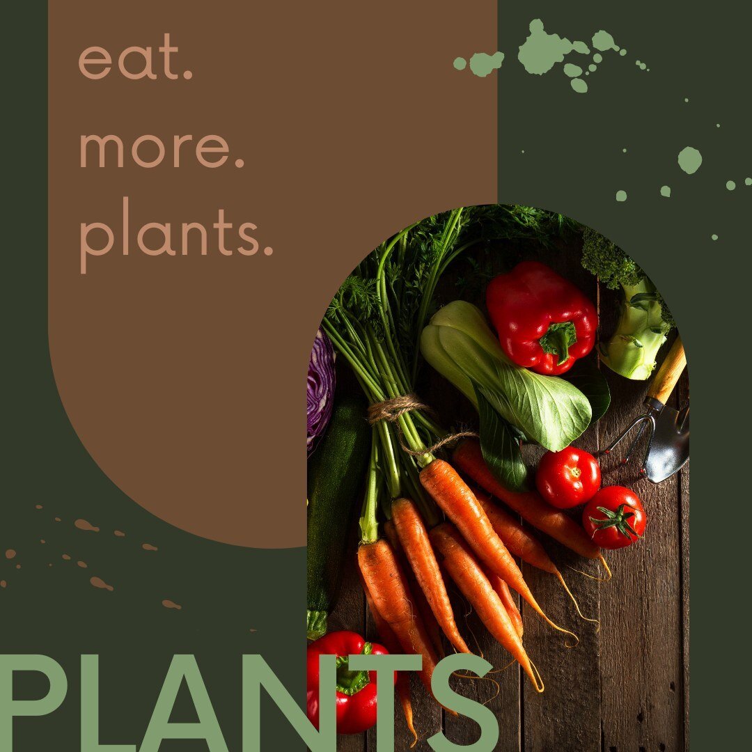 Looking for a fun way to eat more plants? Gardening can be an excellent introduction into healthy eating for picky eaters. Elevated mini gardens make gardening manageable and easy whether you live in an apartment, home, or townhouse. Check out the di