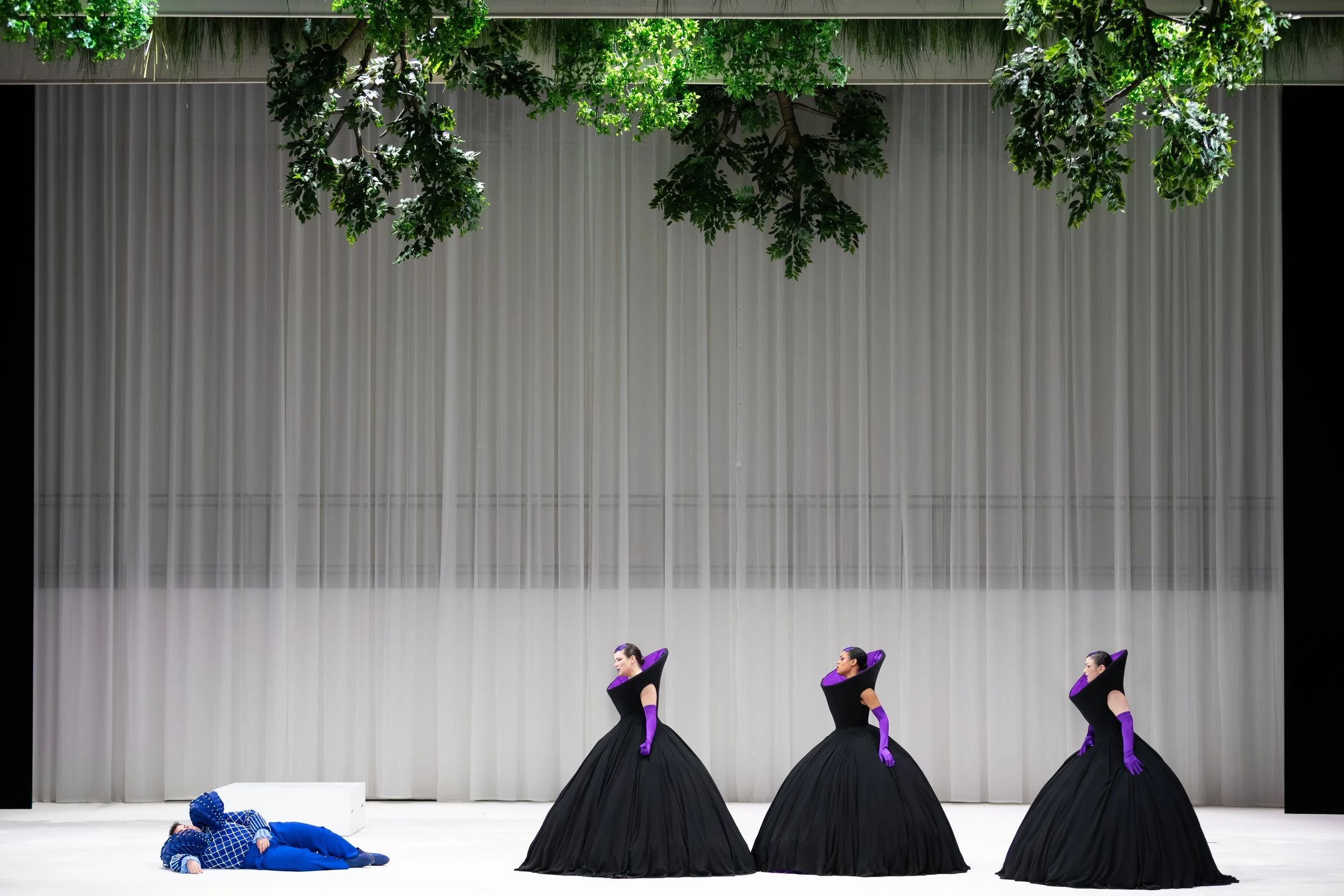 © Anthony Rojo-14.jpg