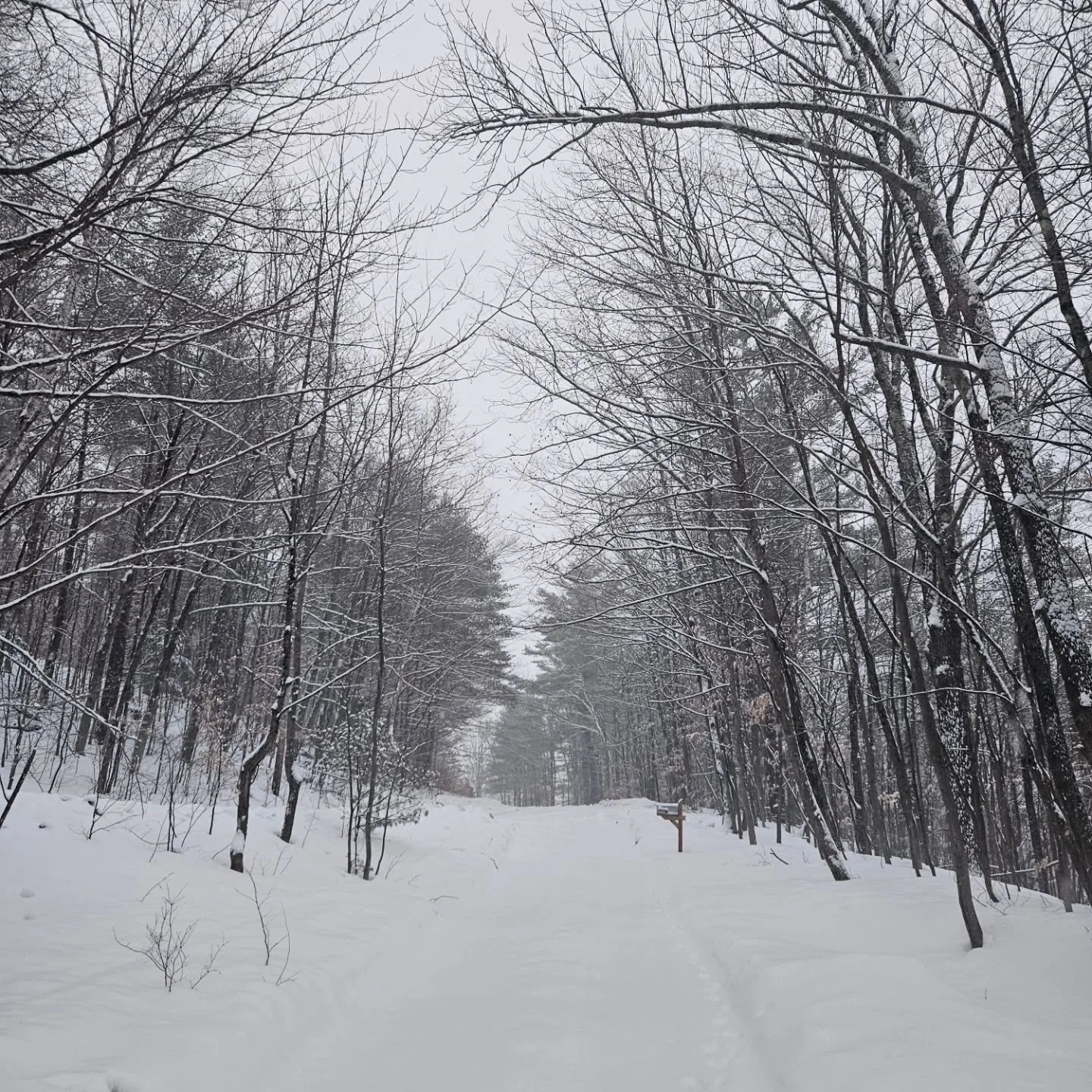 Winter feelings today.