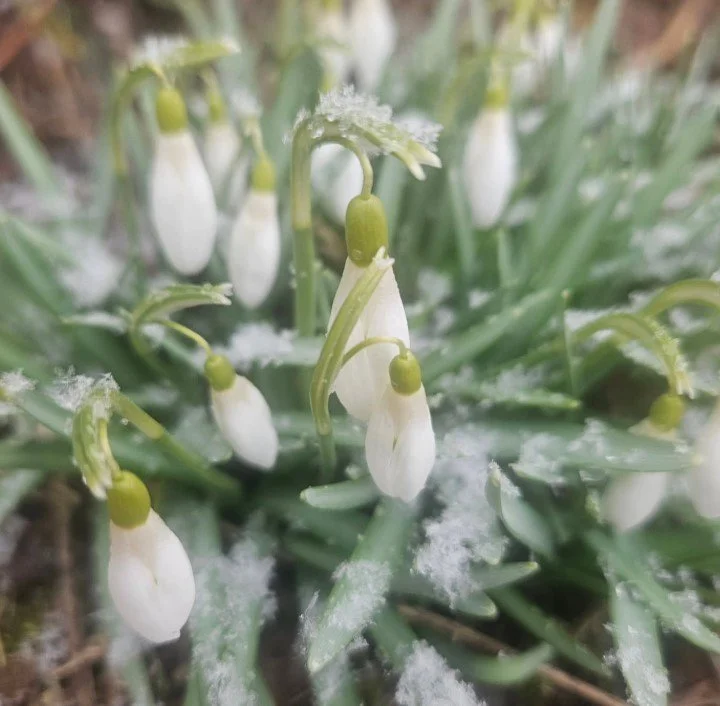 Following Along With Nature