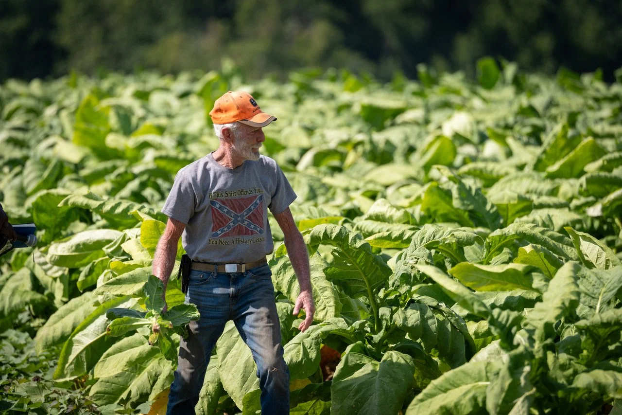 For Virginia farmers, a bumper harvest amid growing uncertainty
