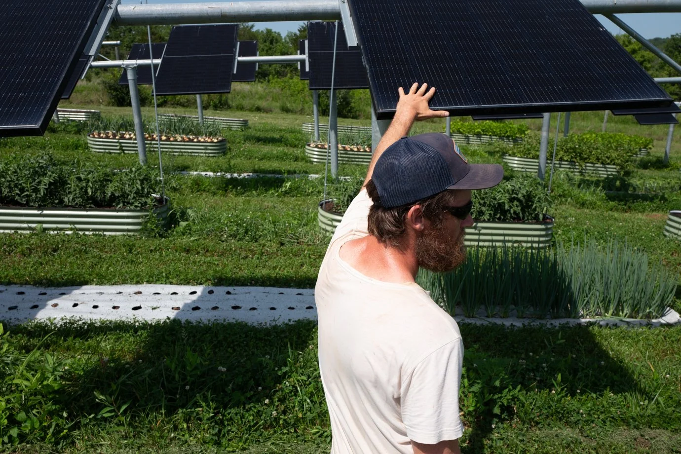  Teddy Pitsiokos manages the 8 acres Roundabout Community Farm. 