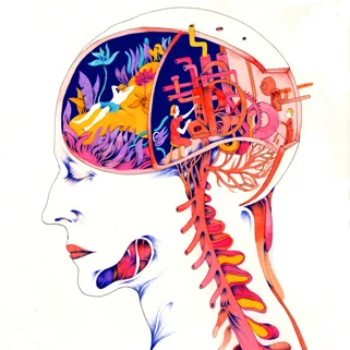 Am é li e Barnathan Artist and Illustrator ameliebarnathan@gmail.com ameliebarnathan.tumblr.com