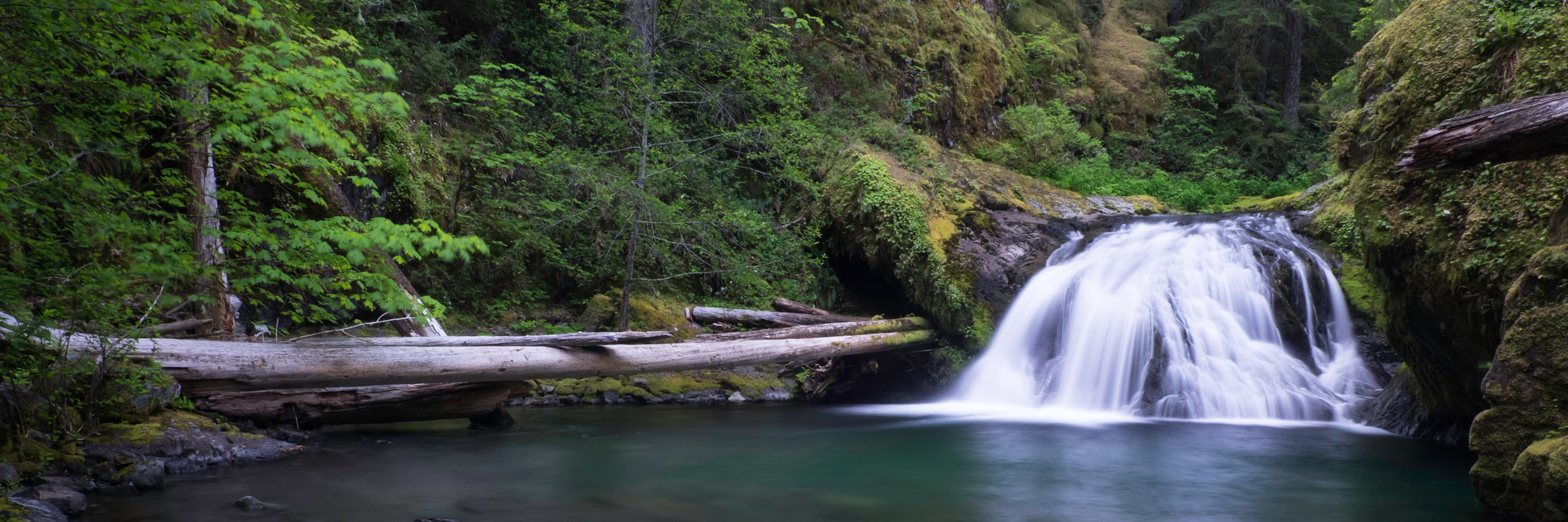 Brice Creek Pool Falls_2014 - -165-20140601_Brice_Creek_0166.jpg