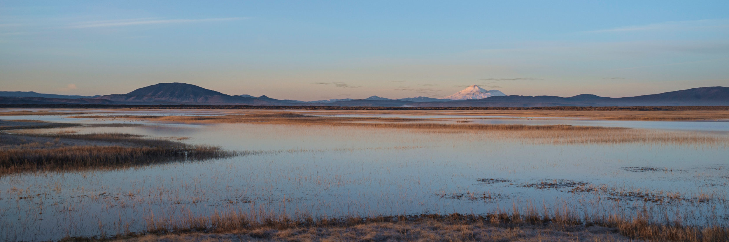 Klamath NWR_2014 - -95-20140315_fujix100_0072.jpg