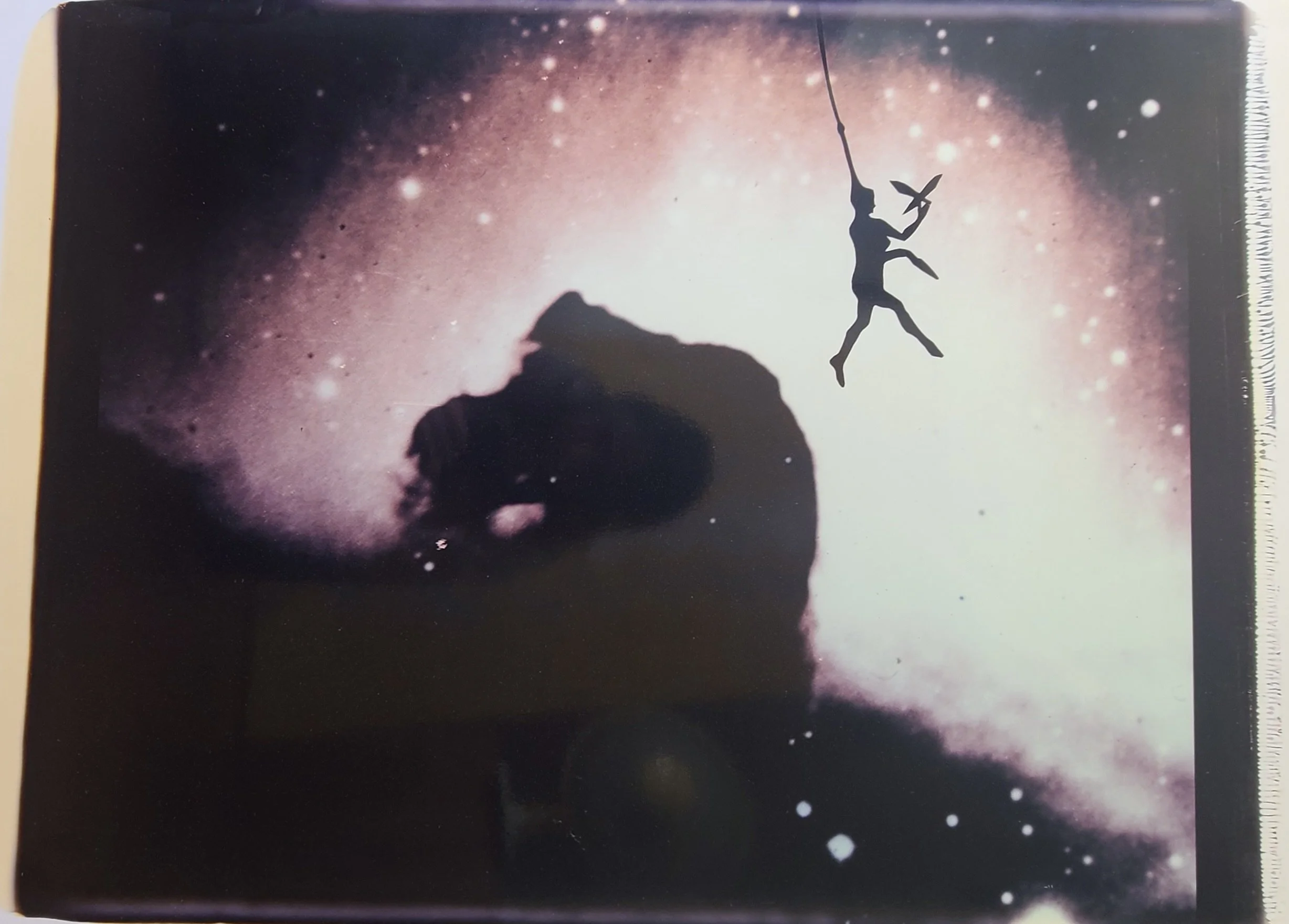 Disc Acrobat Hung By Her Hair