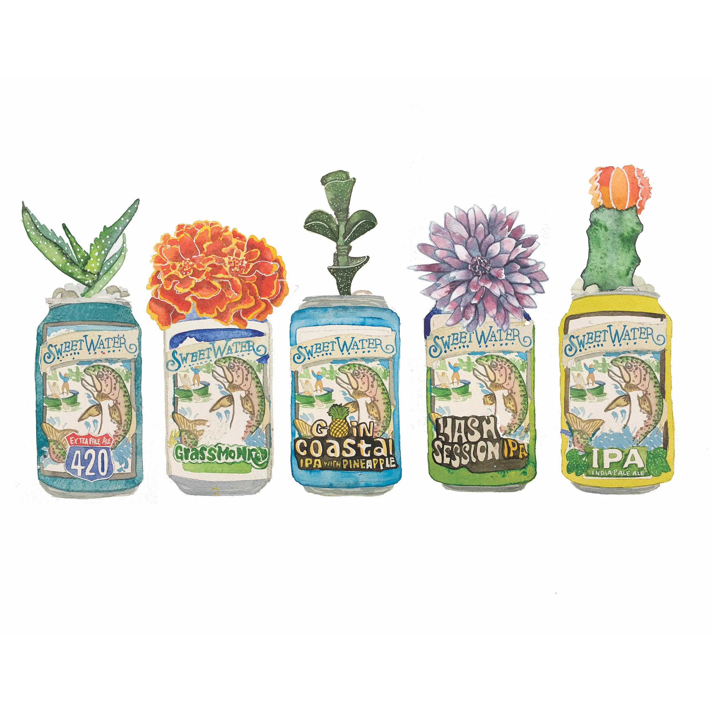 sweetwater floral succulent cans.jpg