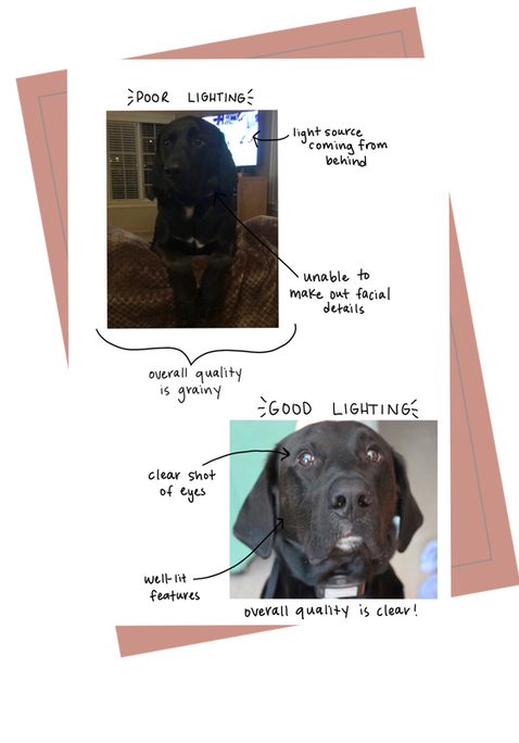 goodlighting example.png