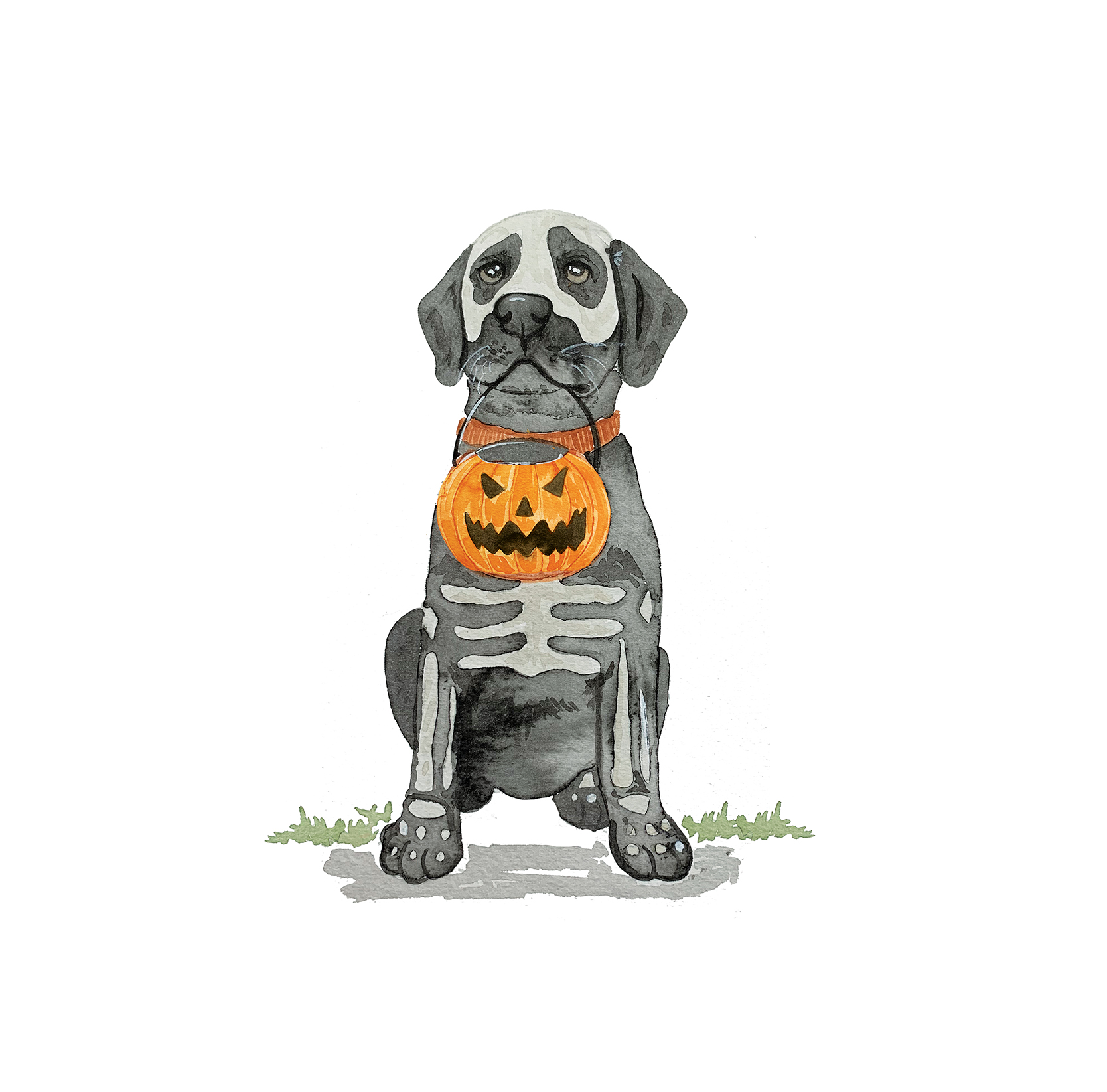 Personalized Dog Collar, Cartoon Pumpkin Dog Collar