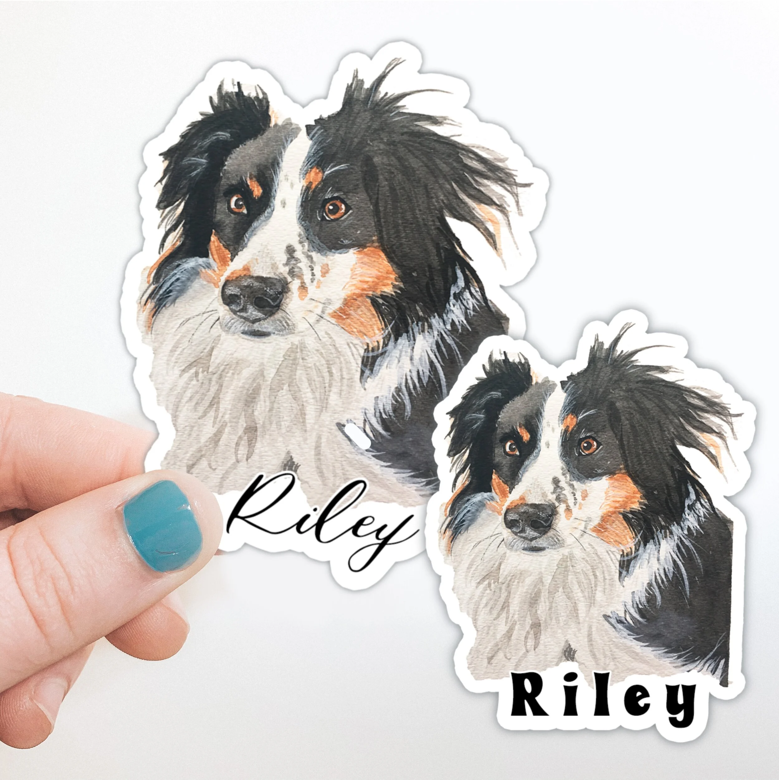 personalized pet stickers