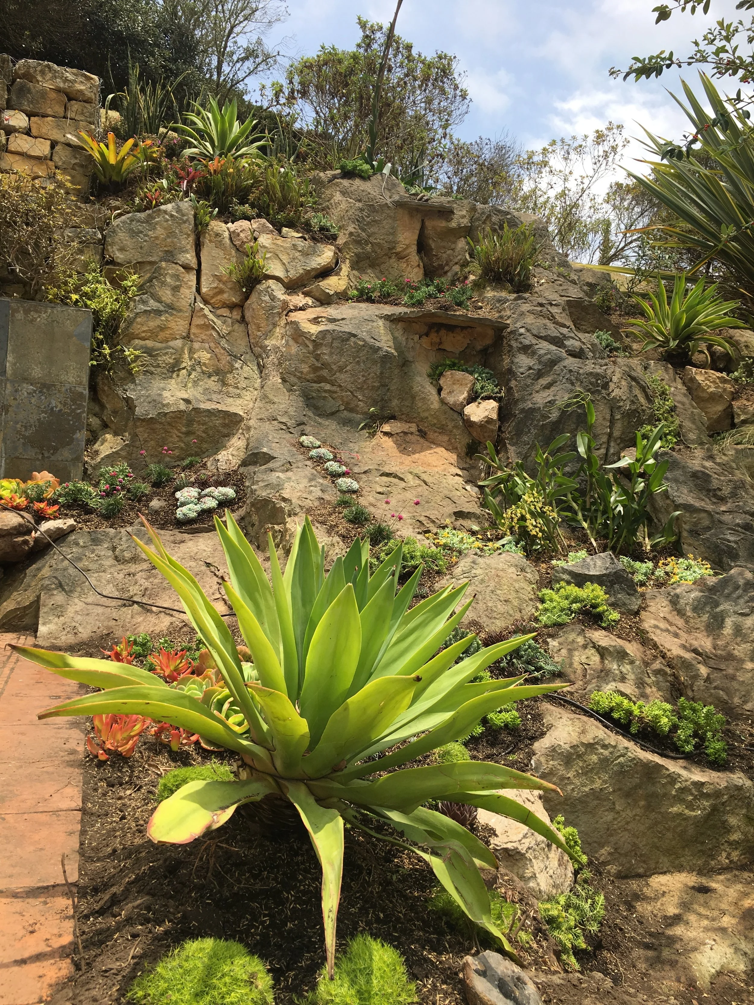 Rocalla en Los Cerros