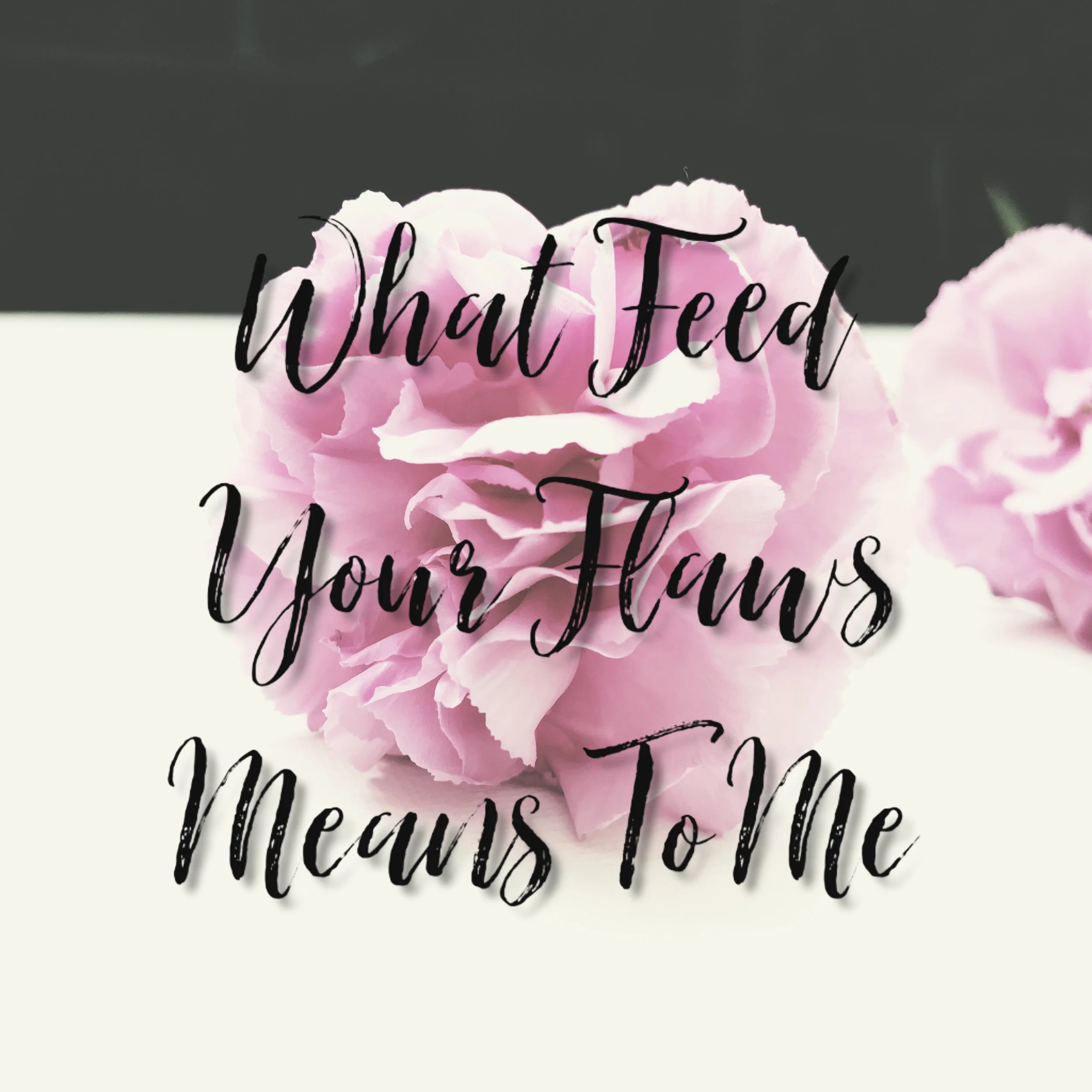 What Feed Your Flaws Means To Me