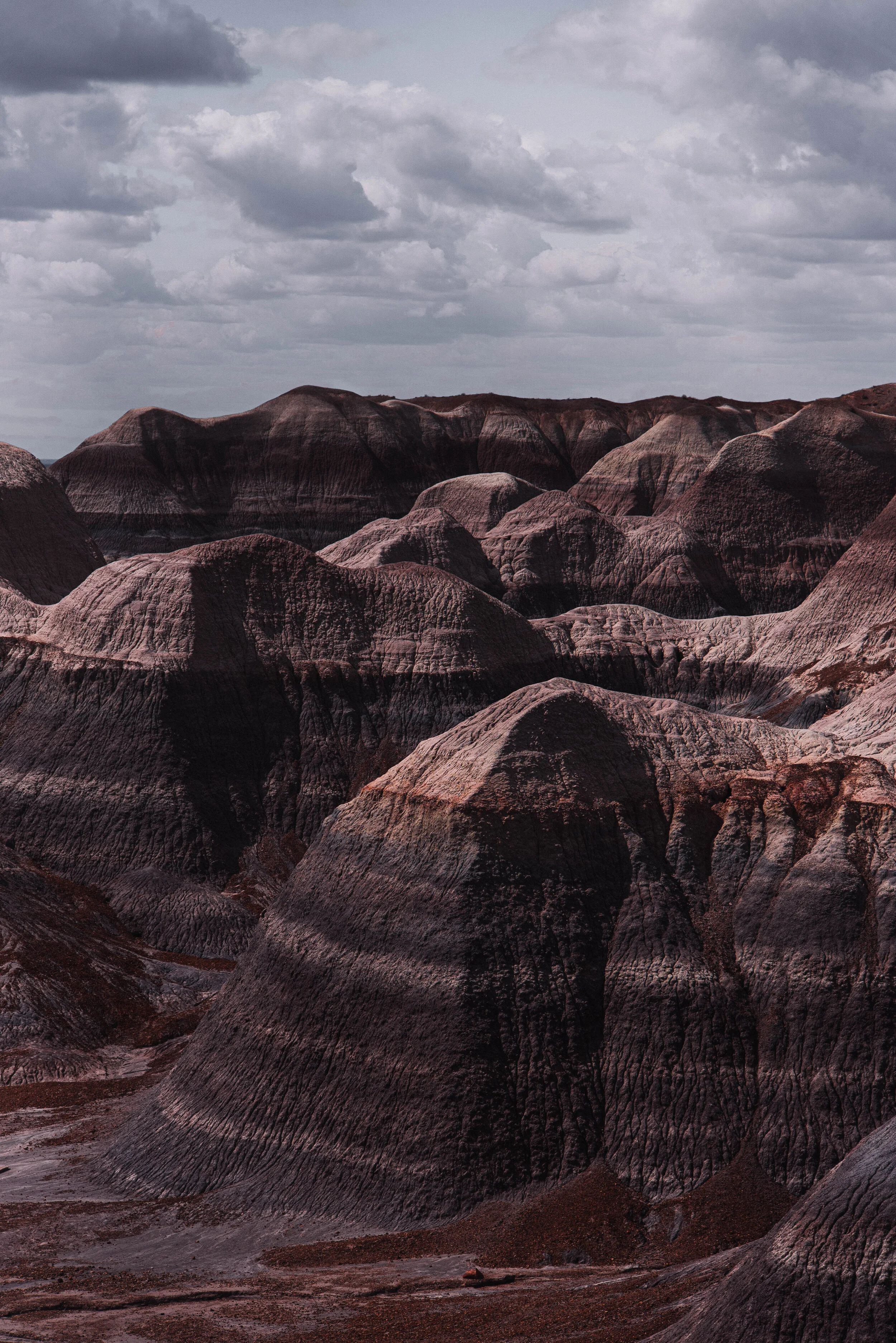 Sunday Worship Order, July 19, 2020