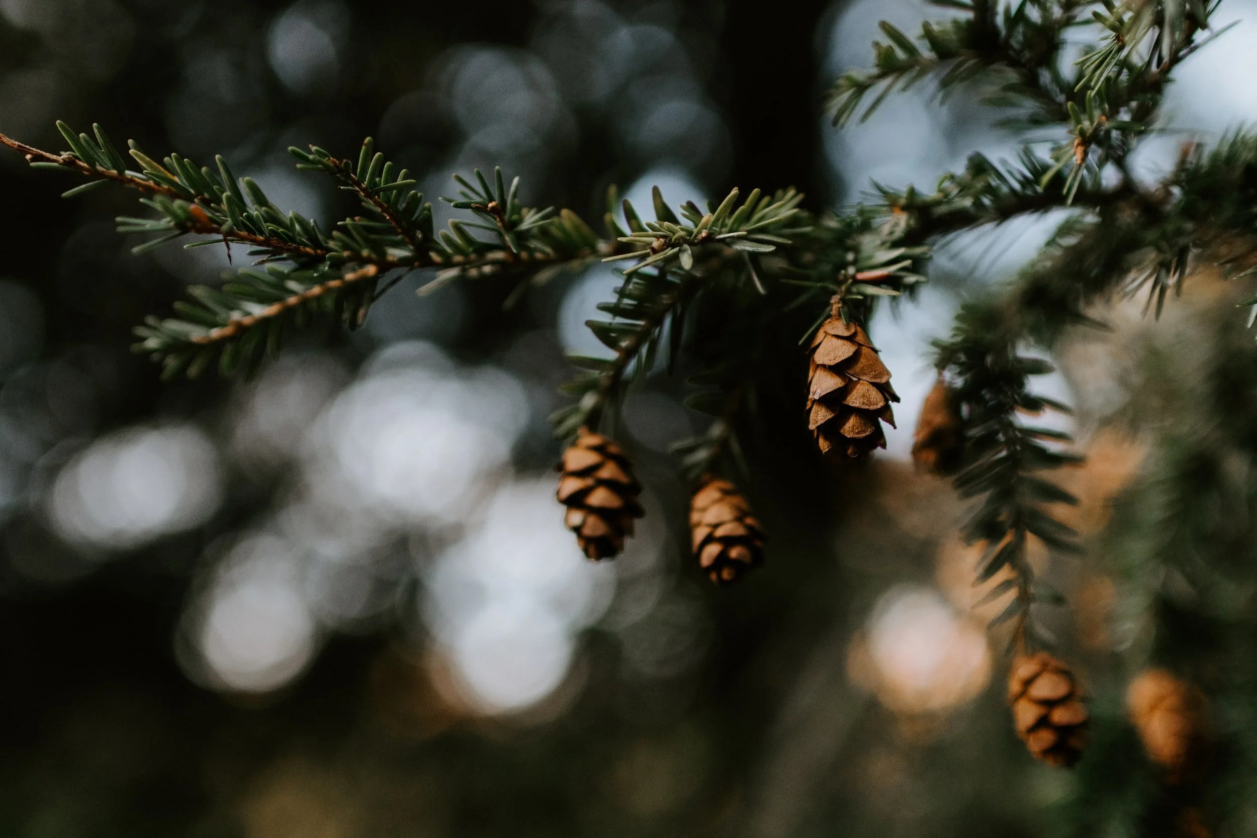 Sunday Sermon, January 16, 2022