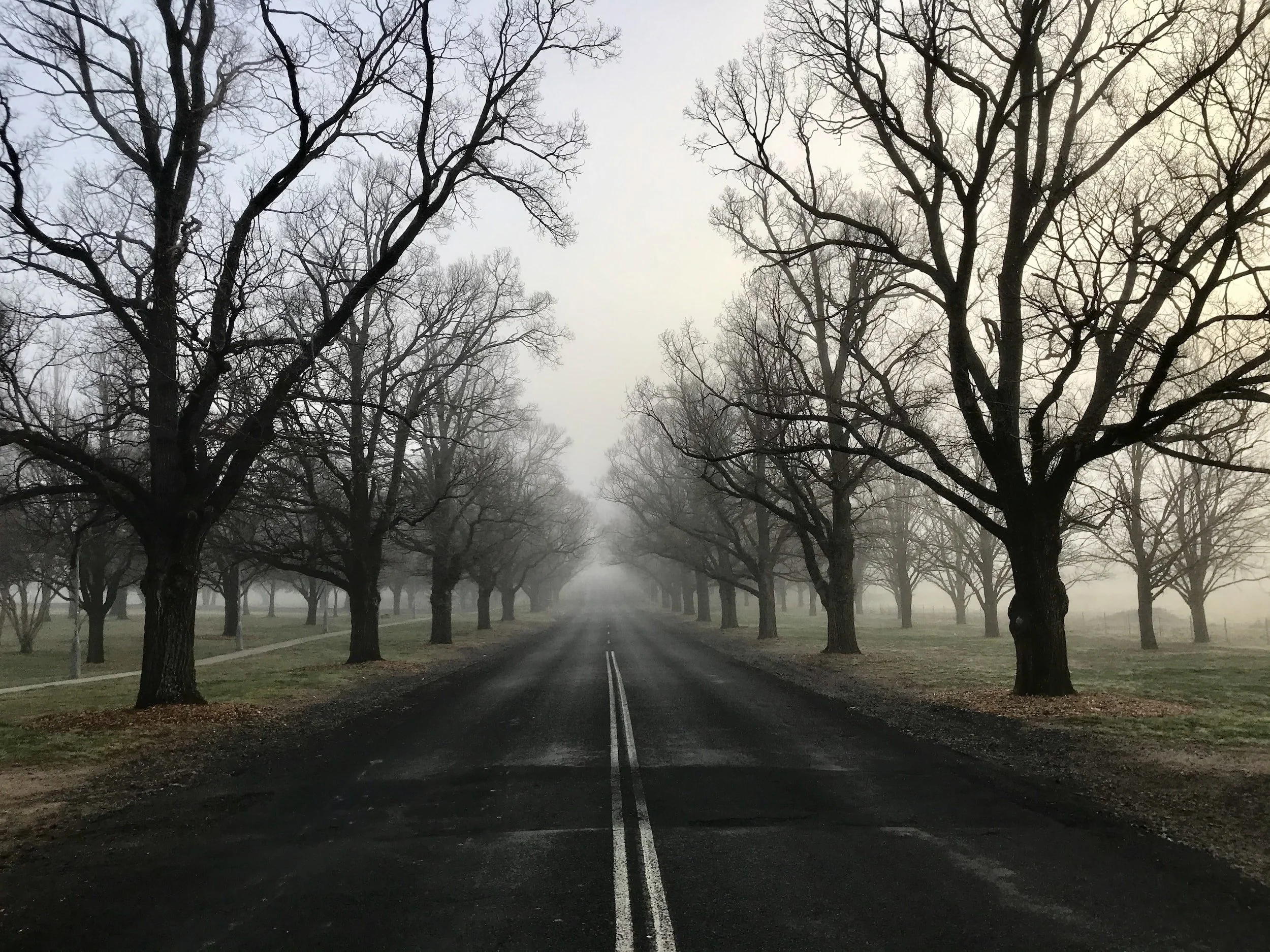 Sunday Sermon, January 29, 2023