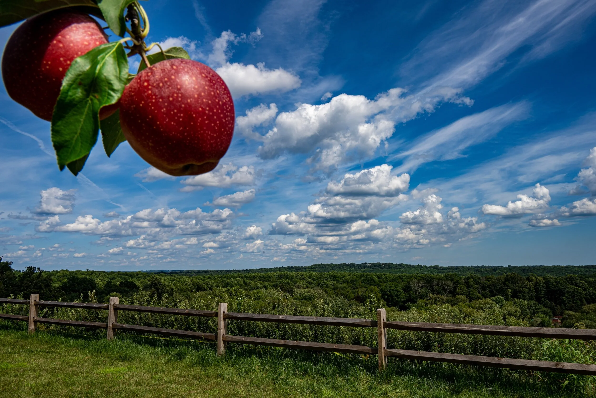 Sunday Bulletin, September 10, 2023