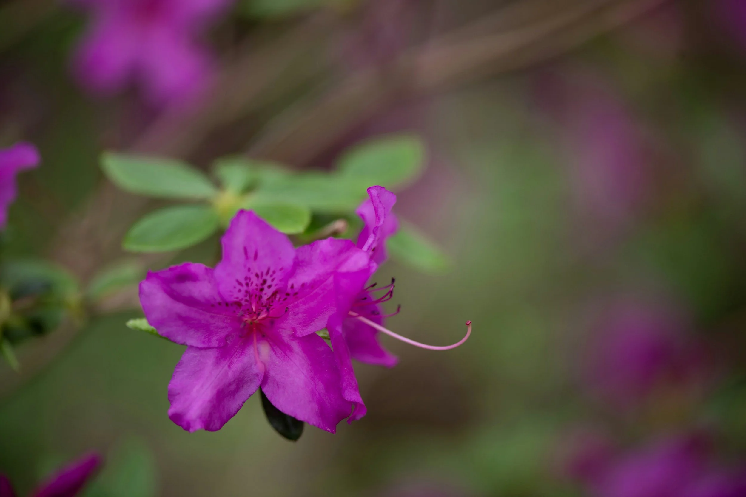 Sunday Sermon, April 28, 2024