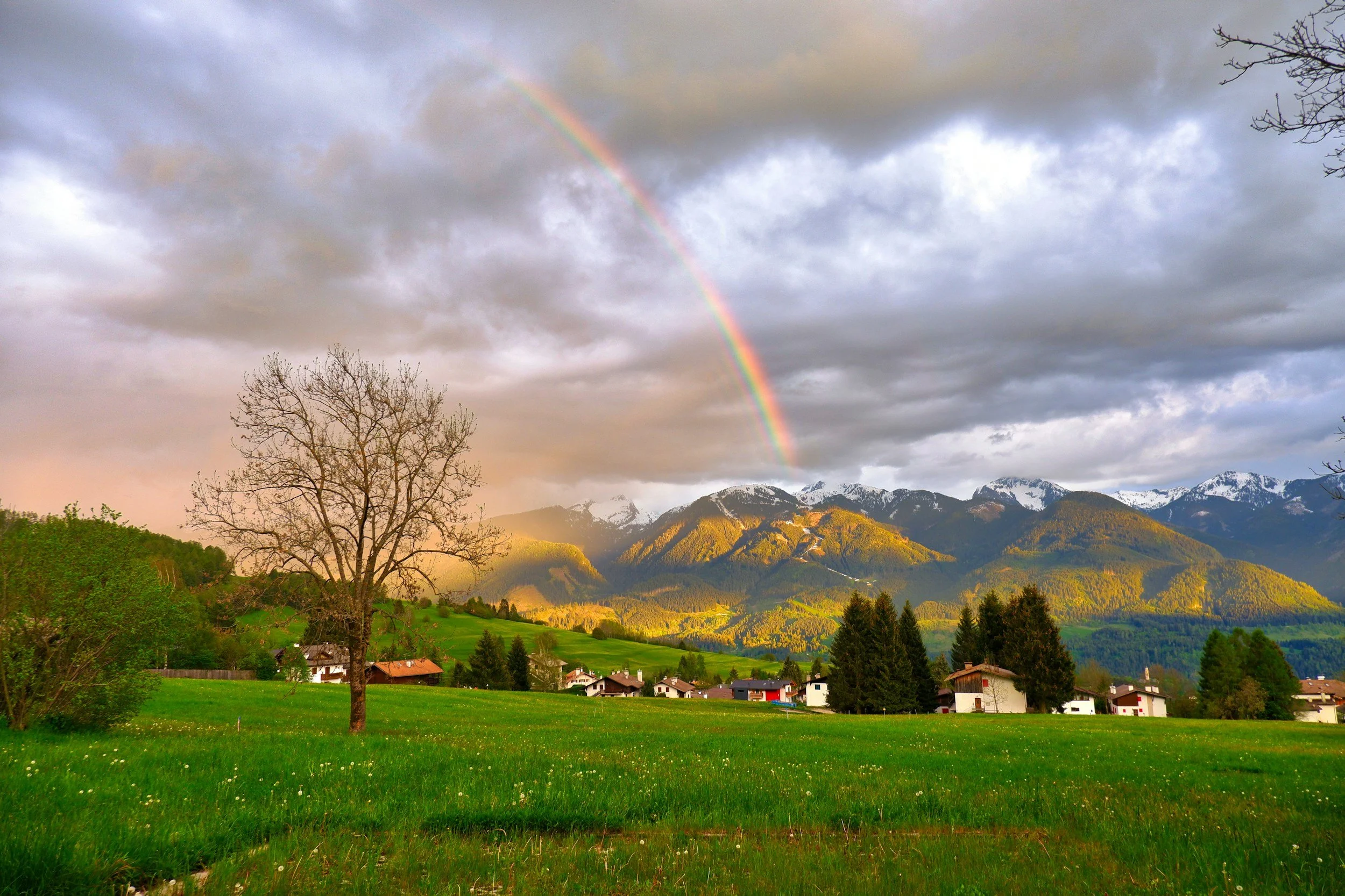 Sunday Bulletin, July 7, 2024