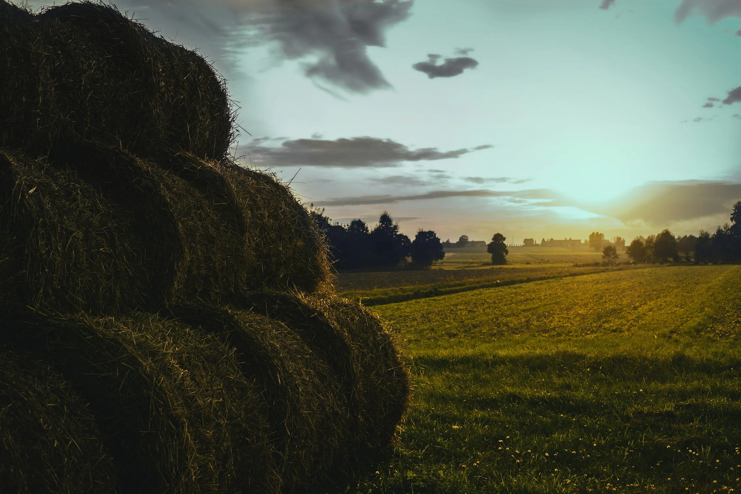 Sunday Bulletin, June 22, 2025