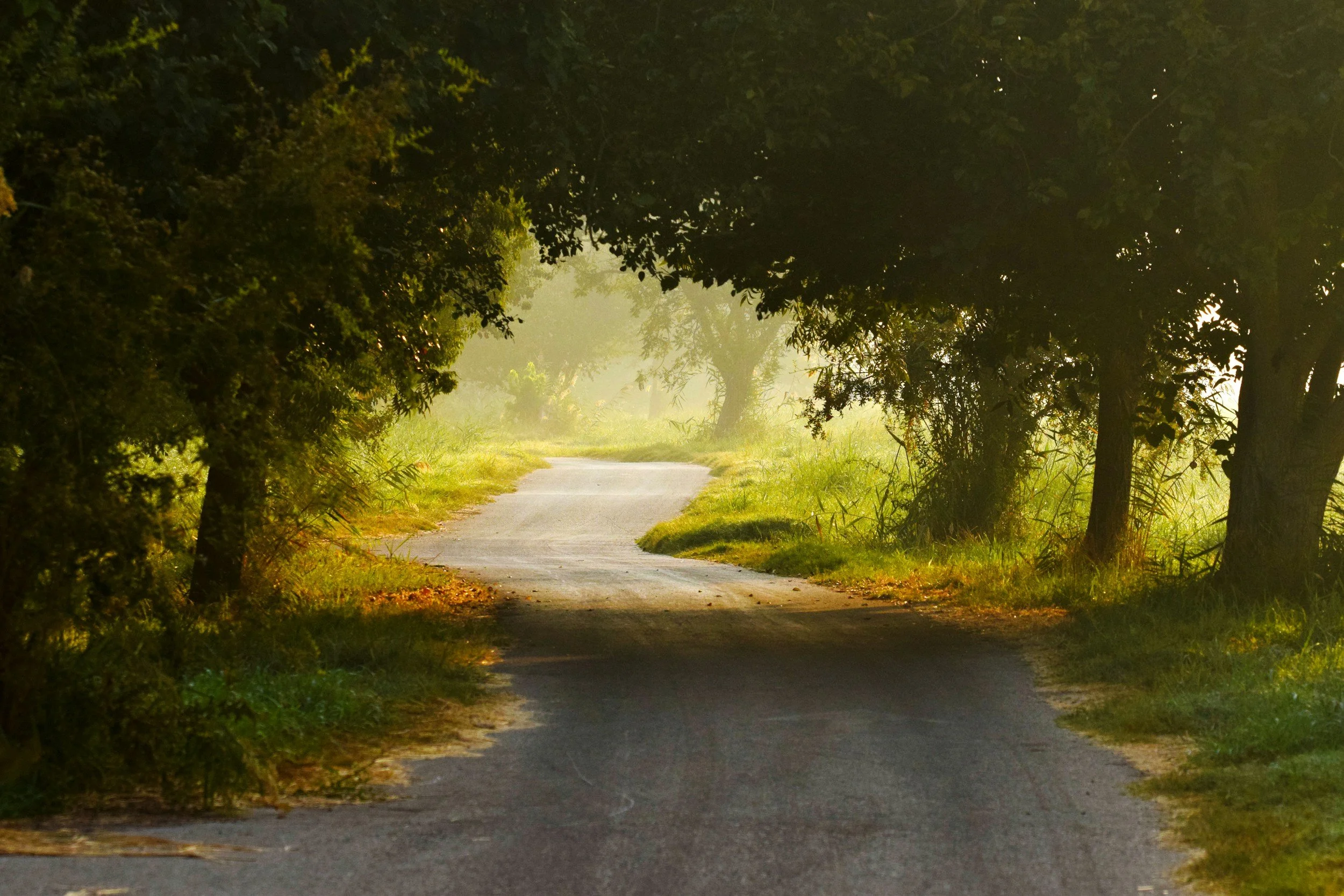 Sunday Bulletin, April 19, 2026