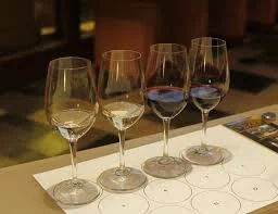 Have you tried one of our Wine Classes in English yet?