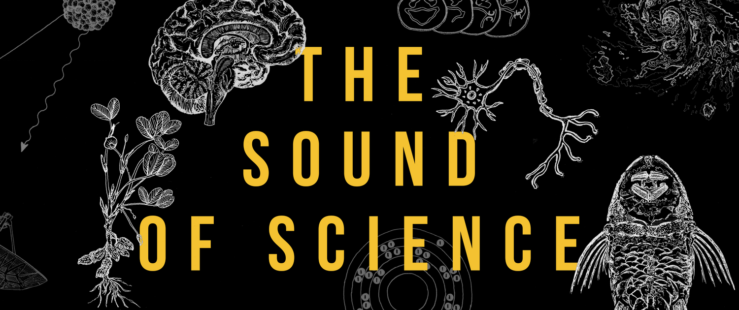UPDATED+Sound+of+Science+Wide+with+Title.png