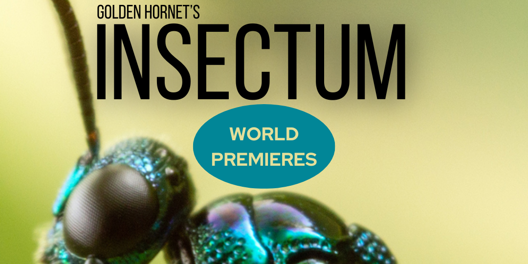 INSECTUM: Presented by the Offbeat Series at KMFA 89.5