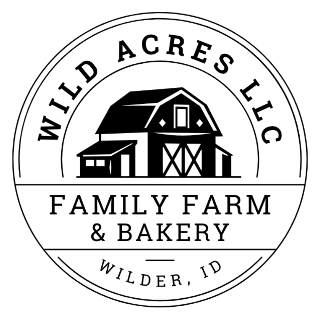 Logo.png.png