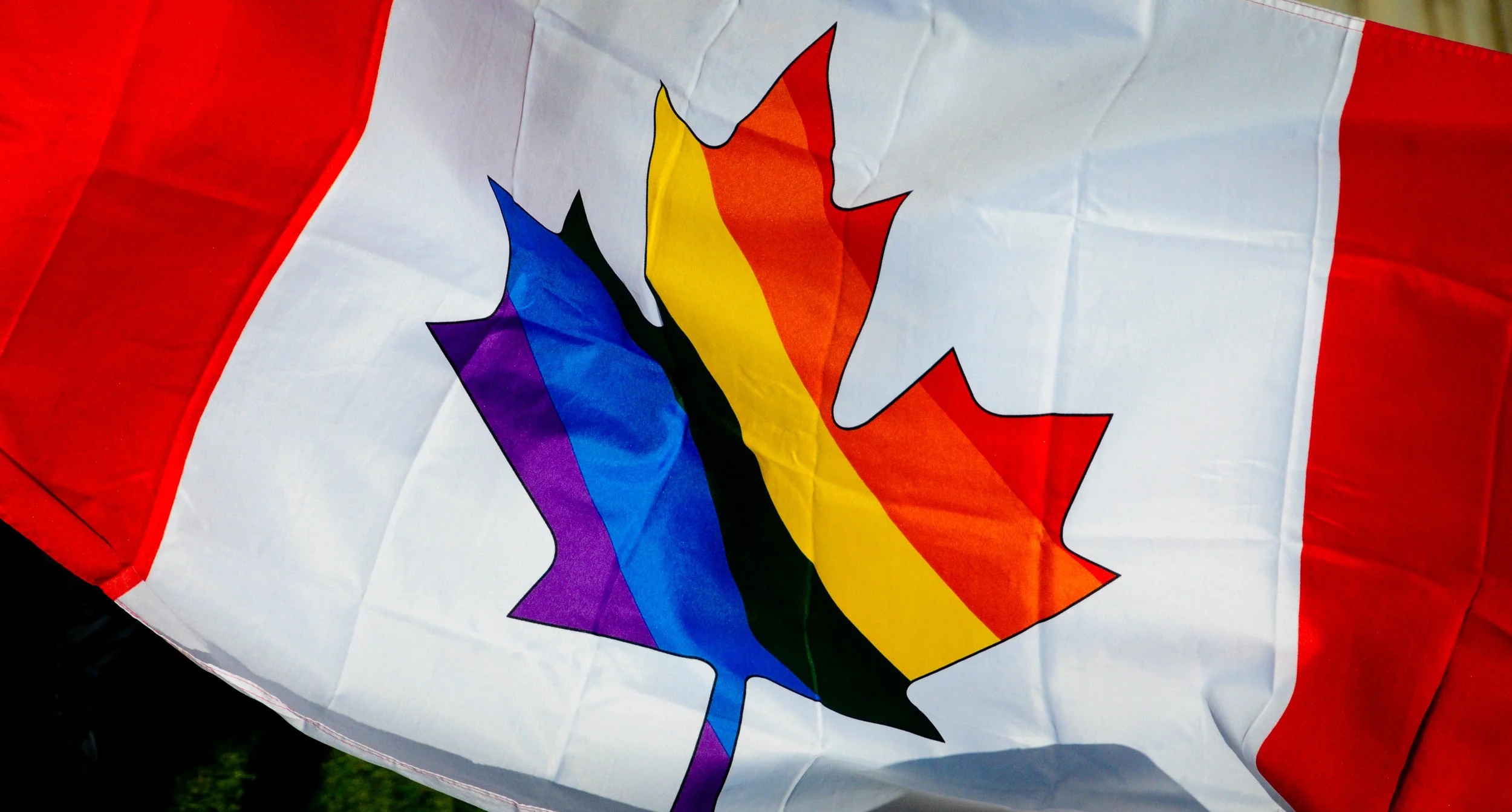 The social technographics of gay men and other men who have sex with men (MSM) in Canada: Implications for HIV research, outreach and prevention