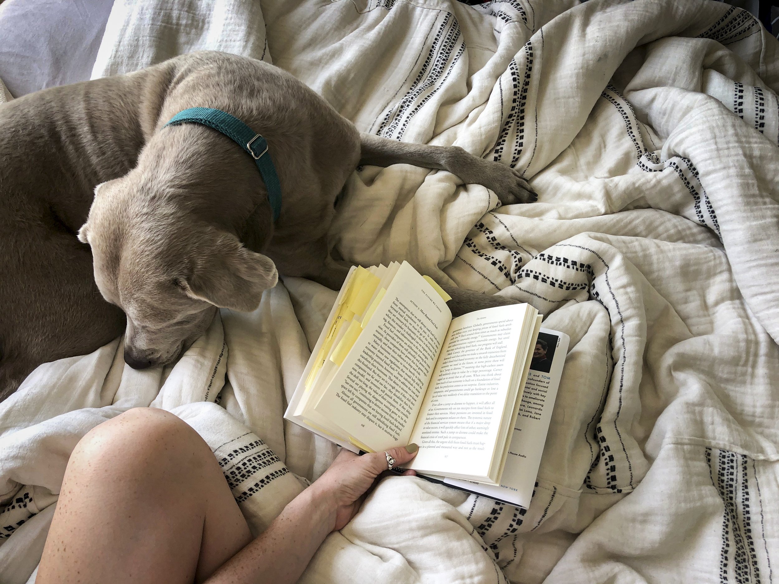 quarantine objects website (38 of 73).jpg