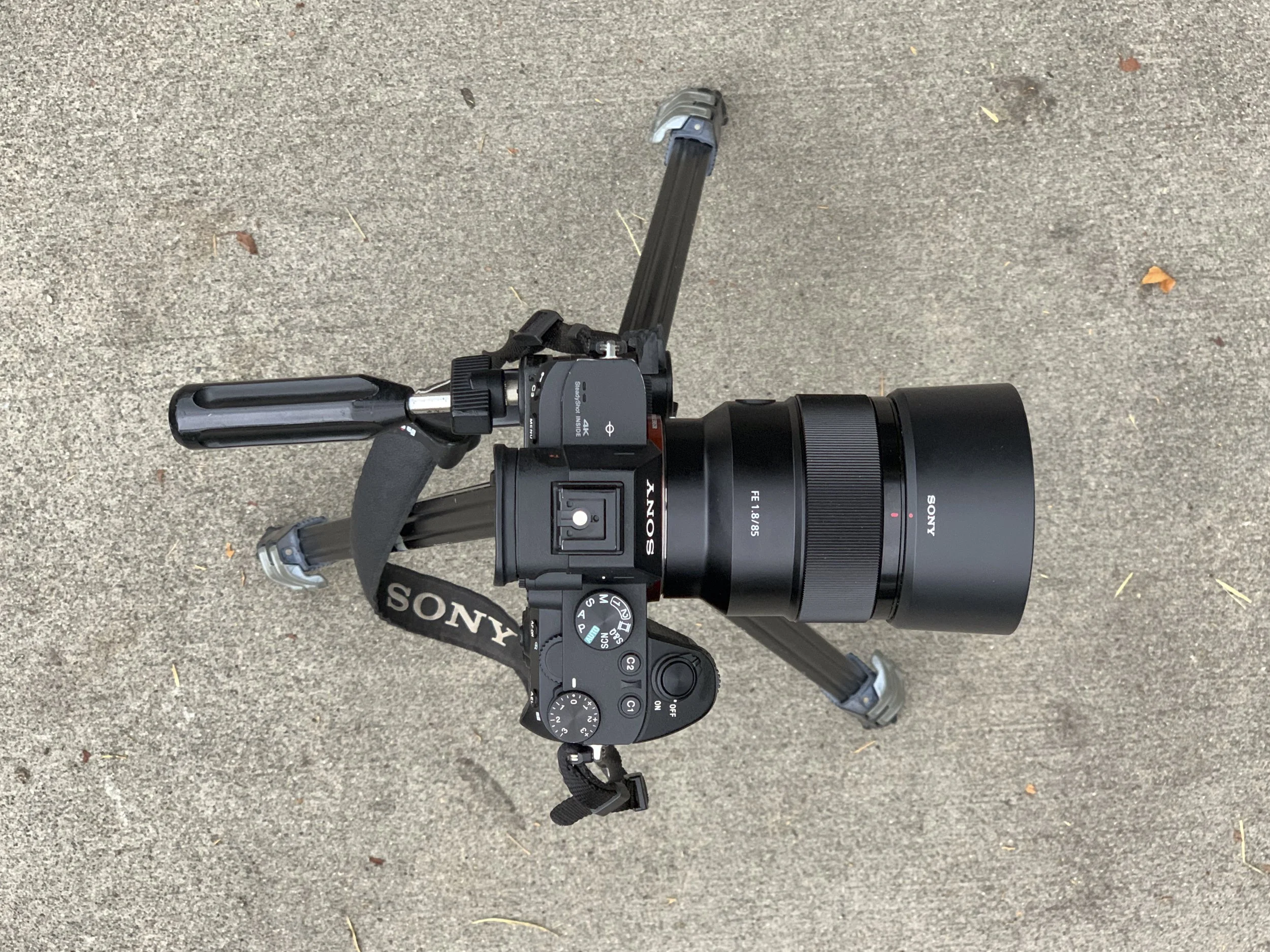 quarantine objects website (64 of 73).jpg