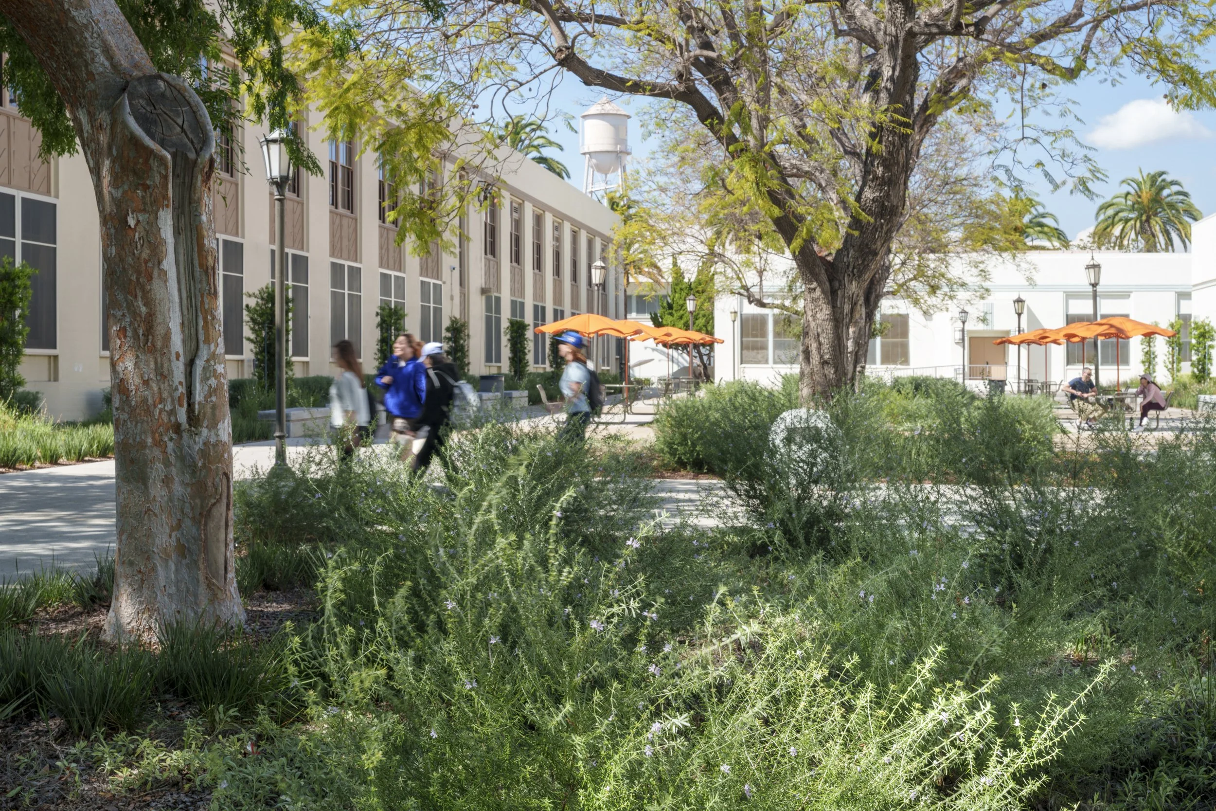 MIG Los Angeles Campus Projects Kirk Hostetter (10 of 19).jpg