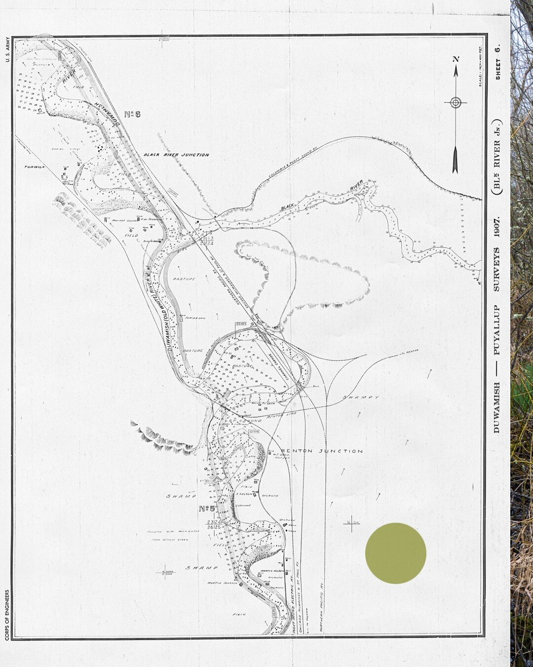 The Springbrook Creek Wetland and Habitat Mitigation Bank traded credits for acres of developed land. The Unit A boardwalk offers a surprisingly pleasant stroll through a sprawling, retained wetland in south Renton. This drainage and runoff network f