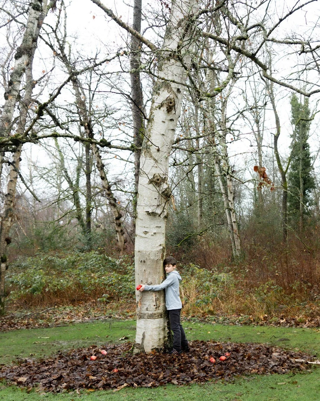 Henry’s Giving Tree, 2020
An homage to Shel Silversteen’s transcendent book, Henry and I created these images for a @photocenternw class led by @jennyriffle. Jenny and I both like trees. I like Henry. If Jenny met Henry she would like him