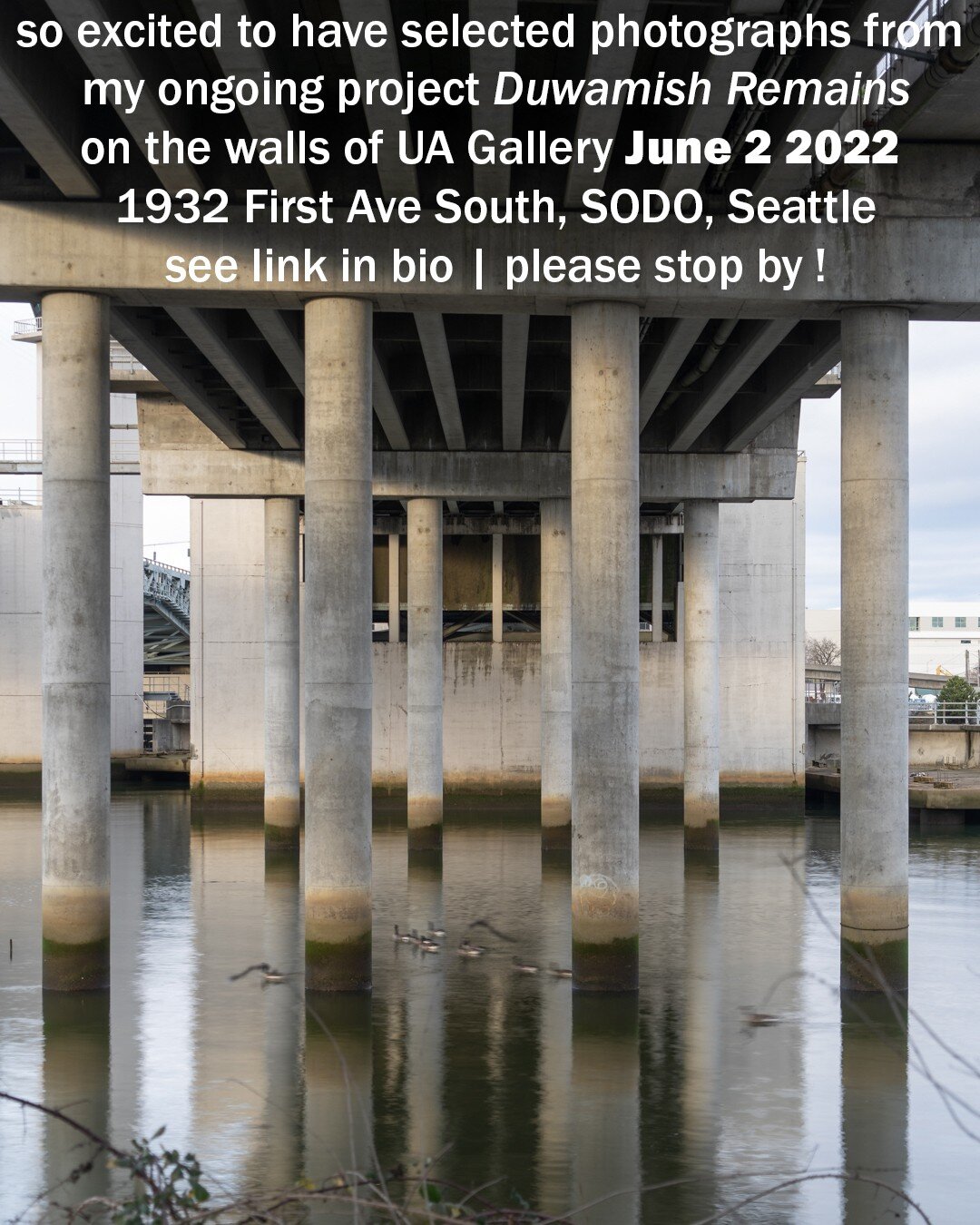 Duwamish Remains
UA Gallery 
June 2 2022 
1932 First Ave South, SODO, Seattle
.
@duwamishremains @urbanadd_architects #duwamishremains #duwamishriver #duwamishterritory #duwamishwatershed #duwamish #duwamishmeanders #duwamishwaterway