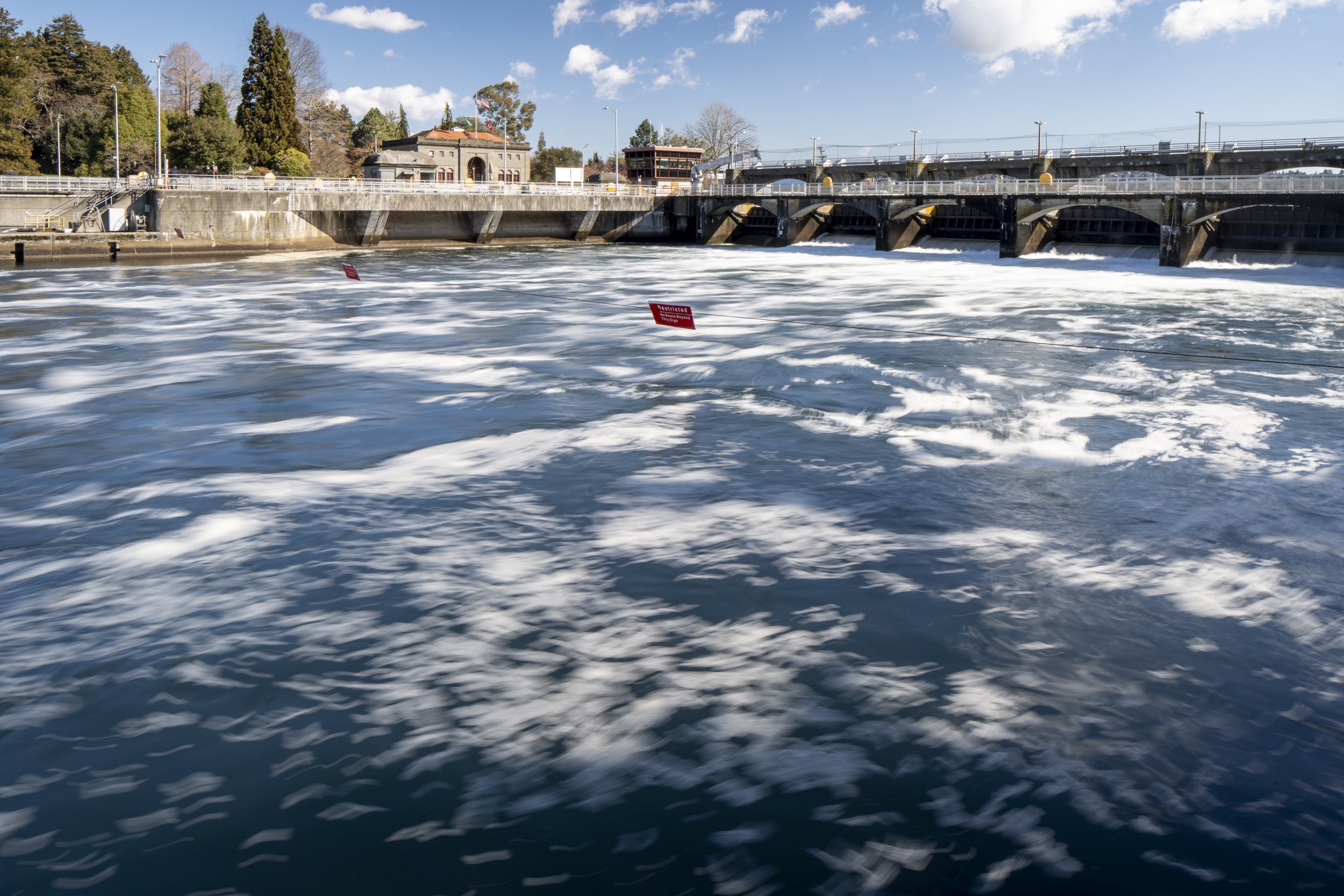 Duwamish Remains-7408997.jpg