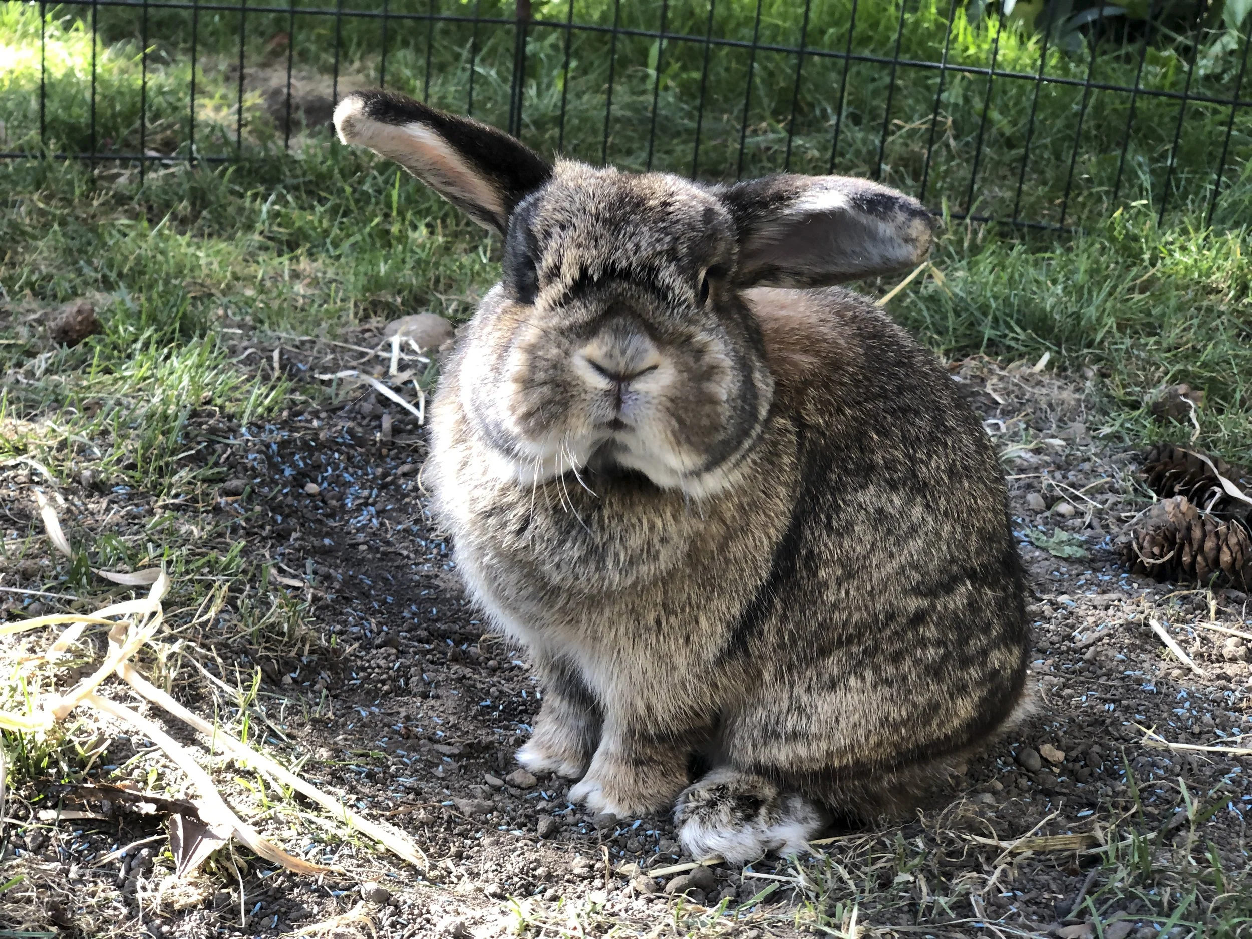 quarantine objects website (35 of 73).jpg