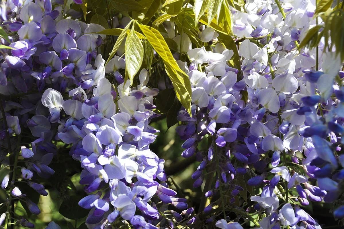 quarantine objects website (43 of 73).jpg