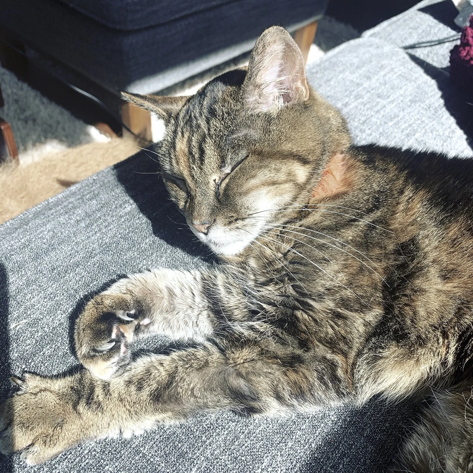 quarantine objects website (10 of 73).jpg