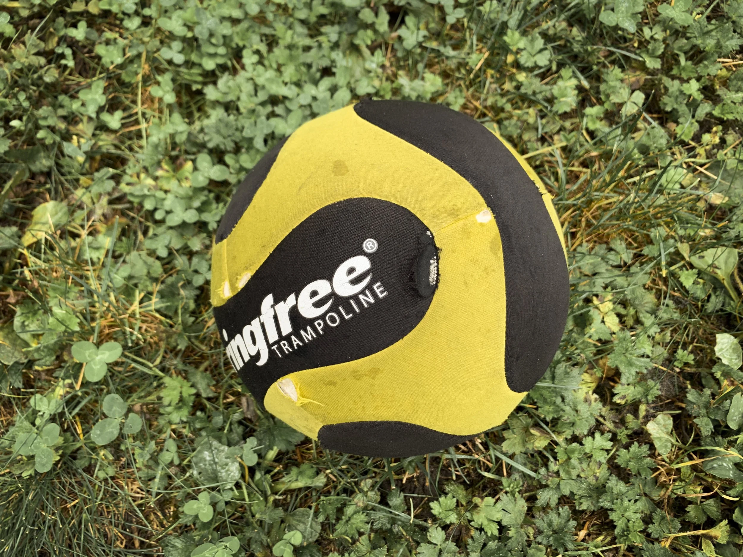 quarantine objects website (63 of 73).jpg