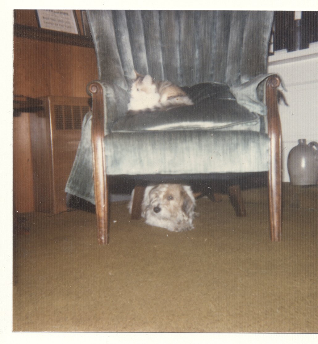 kirk history 1 (113 of 146).jpg