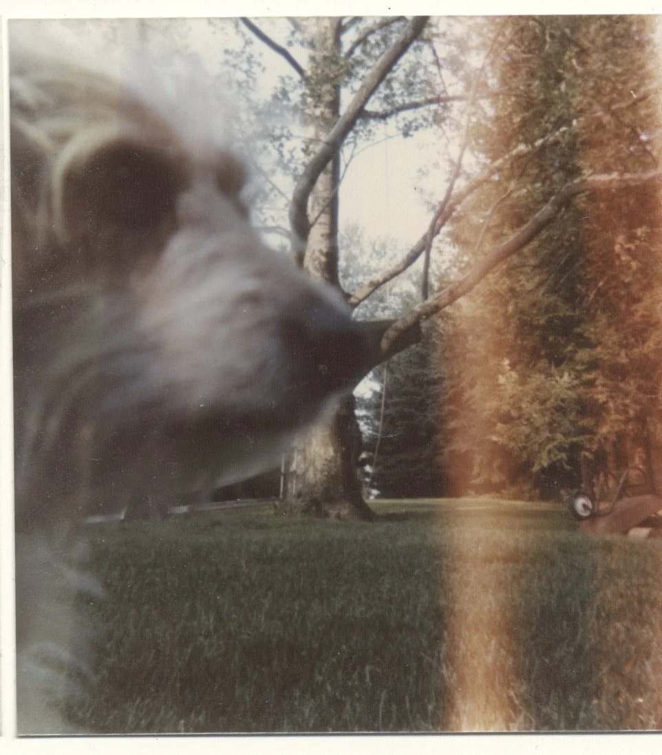 kirk history 1 (115 of 146).jpg