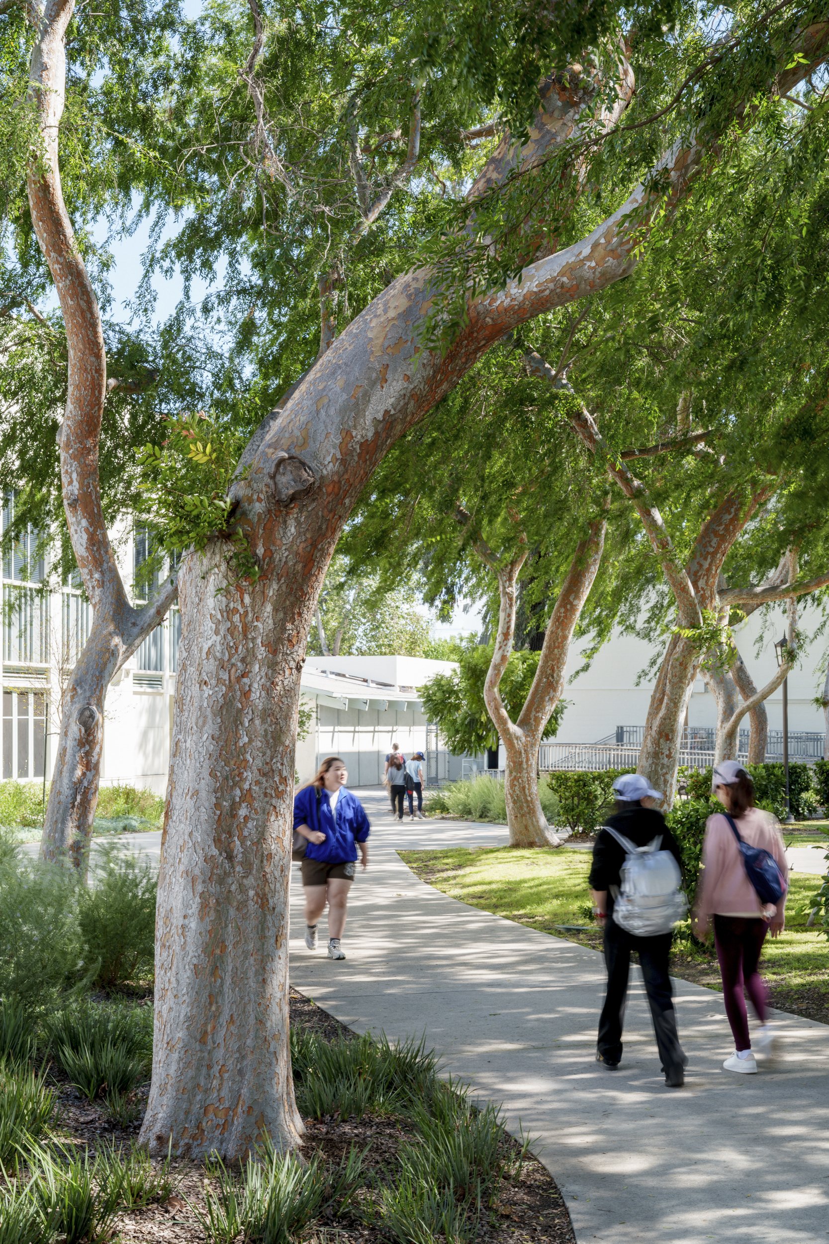 MIG Los Angeles Campus Projects Kirk Hostetter (11 of 19).jpg
