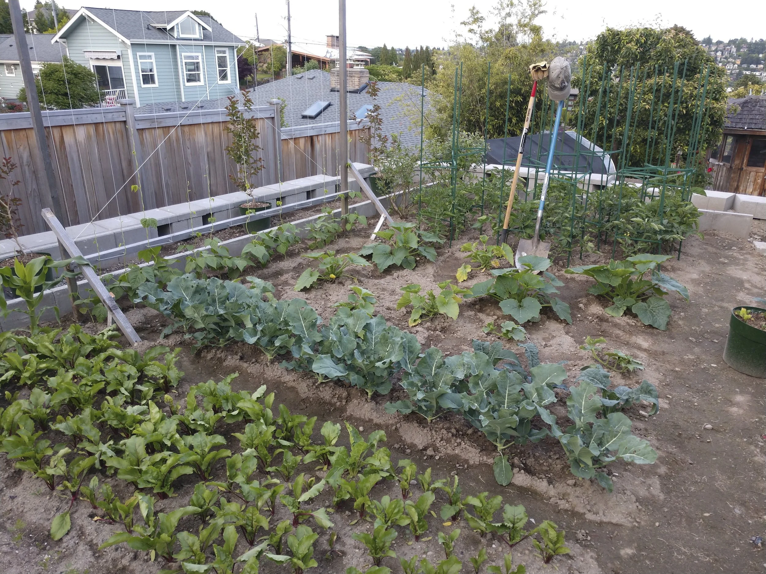 quarantine objects website (3 of 73).jpg